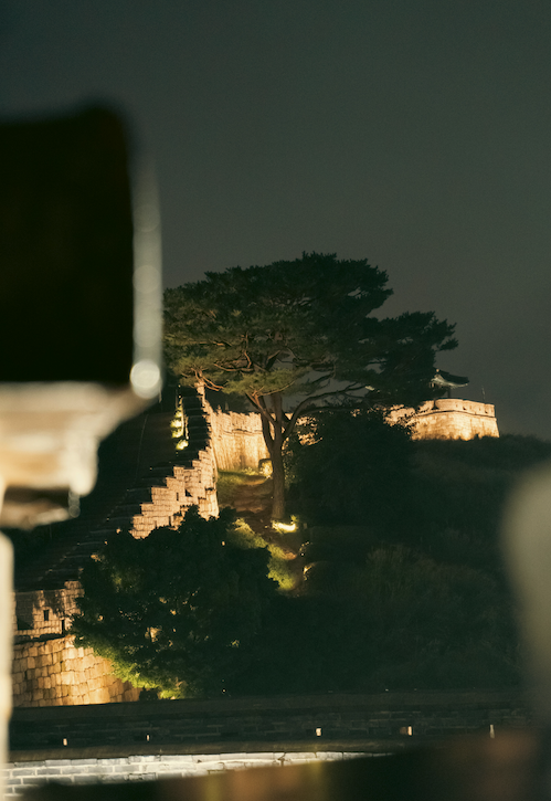 Suwon Hwaseong Fortress walls lit up at night, with a pine tree and stone steps in the glow